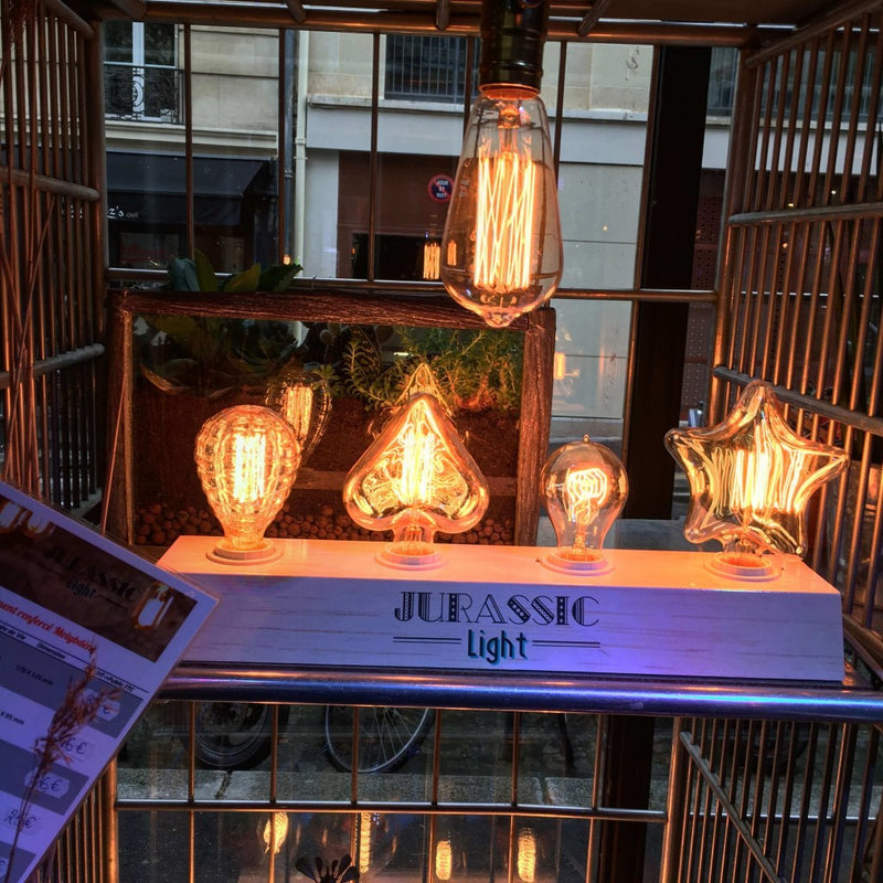 Les ampoules vintages Jurassic-Light - Des créations originales et exclusives