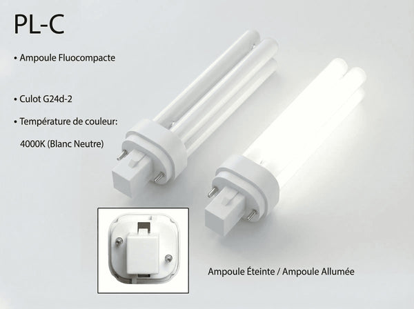 Deux ampoules fluocompactes PL-C 13 W 4000K, l'une éteinte, l'autre allumée, avec gros plan sur le culot 2 broches