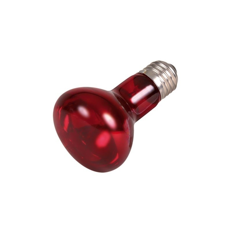 Ampoule réflecteur R95 à verre rouge, culot à vis E27