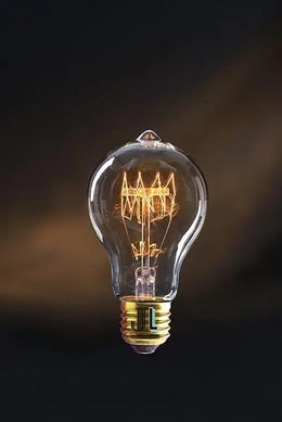 Ampoule à filament poire dimmable E27 60 W modèle Newton - Jurassic-Light