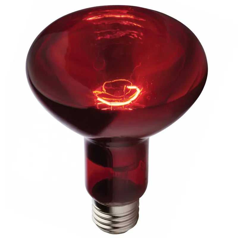 Ampoule réflecteur infrarouge chauffante R125 250W E27 Jurassic-Light