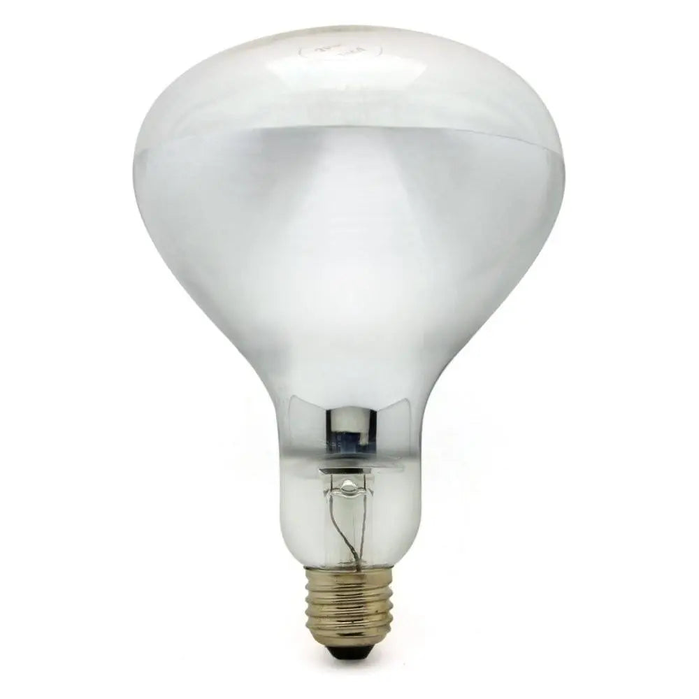 Reflecteur R125 E27 250W à filament incandescent - Jurassic-Light