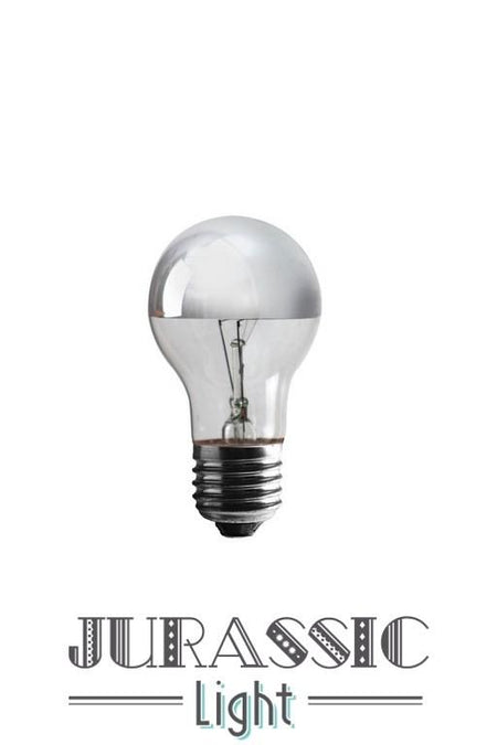 Ampoule Calotte argenté | Jurassic-Light
