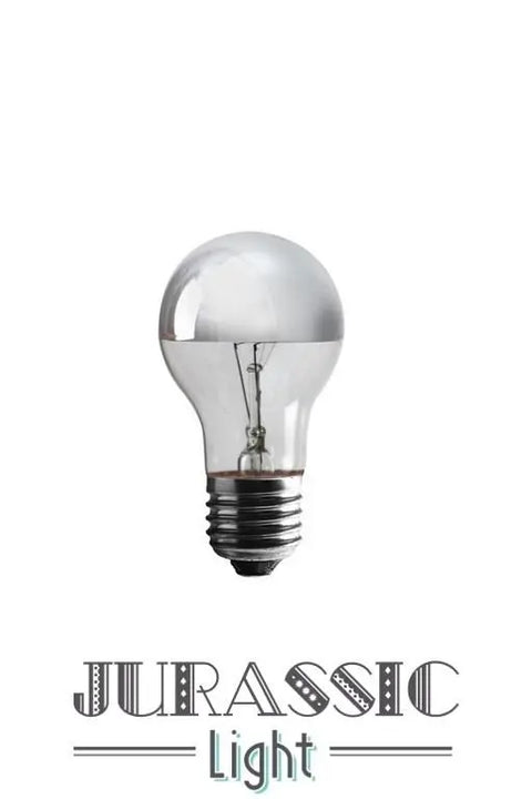 Ampoule Calotte argenté | Jurassic-Light