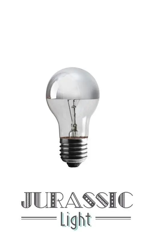 Ampoule Calotte argenté | Jurassic-Light