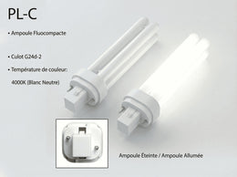 Deux ampoules fluocompactes PL-C 13 W 4000K, l'une éteinte, l'autre allumée, avec gros plan sur le culot 2 broches