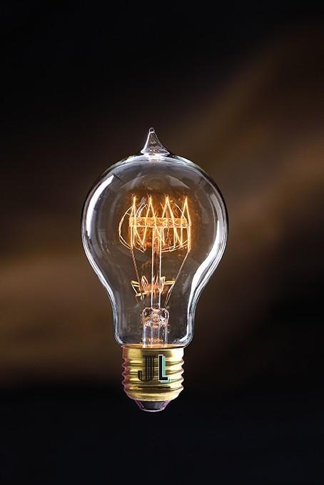 Ampoule à filament poire dimmable E27 60 W modèle Charly - Jurassic-Light