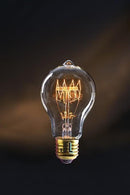 Ampoule à filament poire dimmable E27 60 W modèle Newton - Jurassic-Light