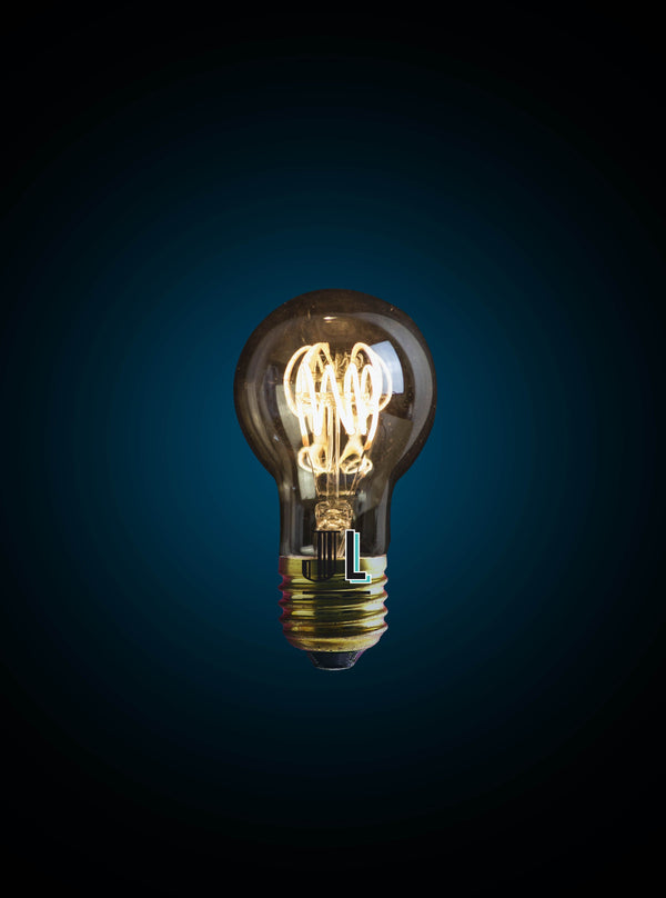 Ampoule LED poire à filament dimmable E27 4 W équivalant à 50 W modèle SARAH - Jurassic-Light