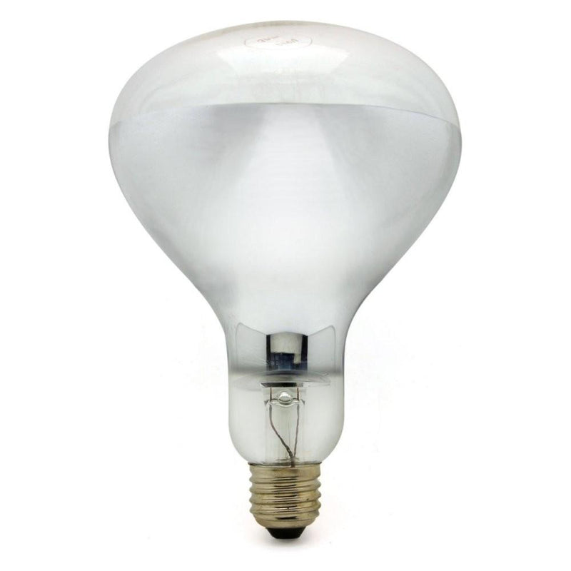 Reflecteur R125 E27 250W à filament incandescent - Jurassic-Light
